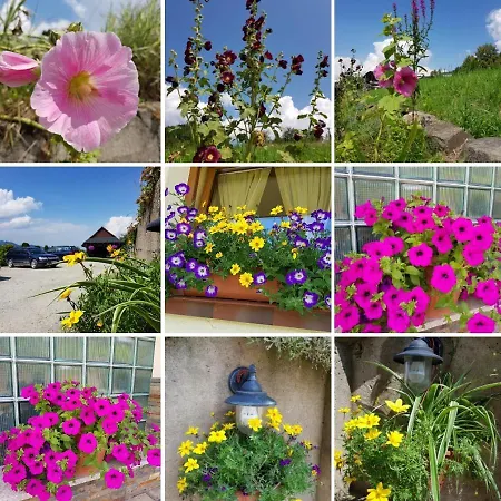 Homestay Widokowa & Z Widokiem Na Gory Szczawnica
