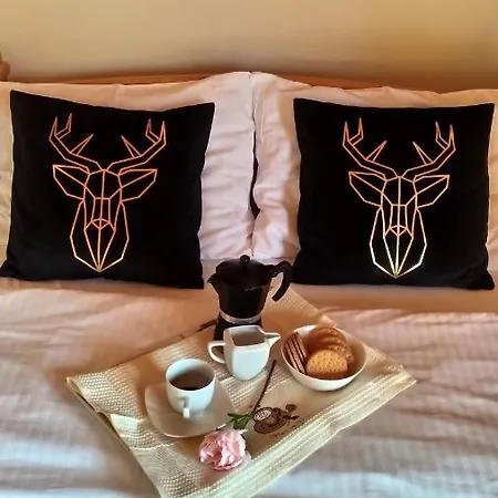 Widokowa Apartamenty&pokoje Z Widokiem Na Góry Quarto em Acomodações Particulares Szczawnica