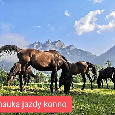 Widokowa & Z Widokiem Na Gory Homestay Szczawnica