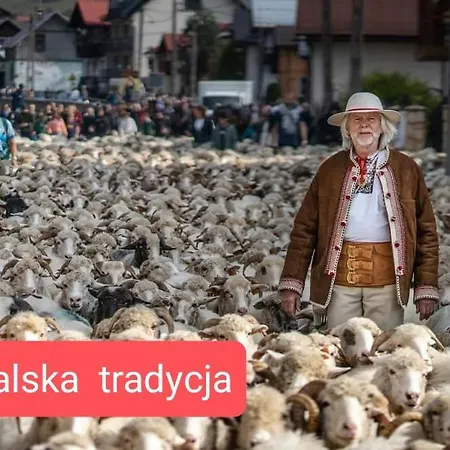 Widokowa & Z Widokiem Na Gory *
