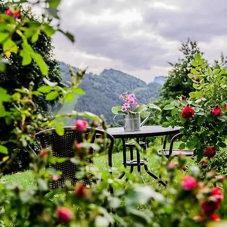 Widokowa Apartamenty&pokoje Z Widokiem Na Góry Szczawnica