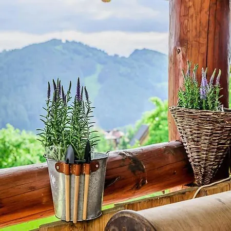 Widokowa & Z Widokiem Na Gory Rum i privatbostad